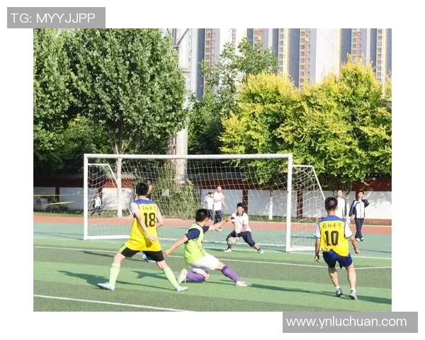 陆毅足球之路：从荧幕明星到绿茵场上的拼搏者与梦想追逐者