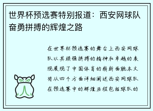 世界杯预选赛特别报道：西安网球队奋勇拼搏的辉煌之路