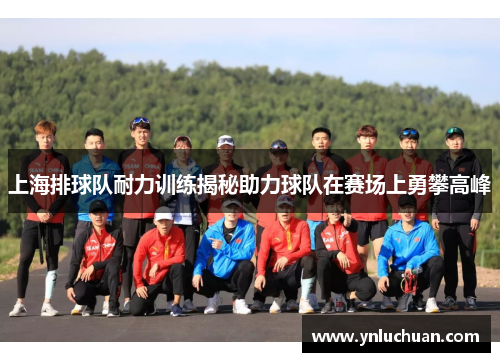 上海排球队耐力训练揭秘助力球队在赛场上勇攀高峰