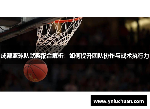 成都篮球队默契配合解析：如何提升团队协作与战术执行力