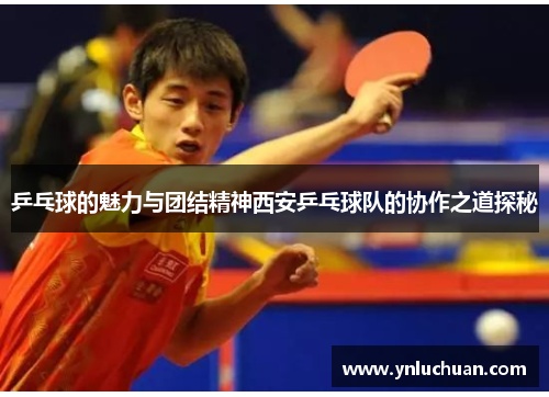 乒乓球的魅力与团结精神西安乒乓球队的协作之道探秘