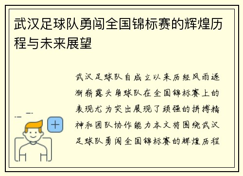 武汉足球队勇闯全国锦标赛的辉煌历程与未来展望