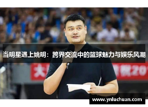 当明星遇上姚明：跨界交流中的篮球魅力与娱乐风潮