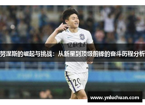 努涅斯的崛起与挑战：从新星到顶级前锋的奋斗历程分析
